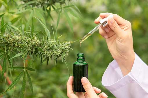 8 Best CBD Shops in Nevada!