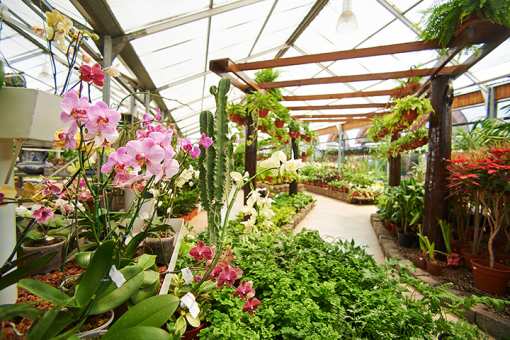 8 Best Garden Centers and Nurseries in Nevada!